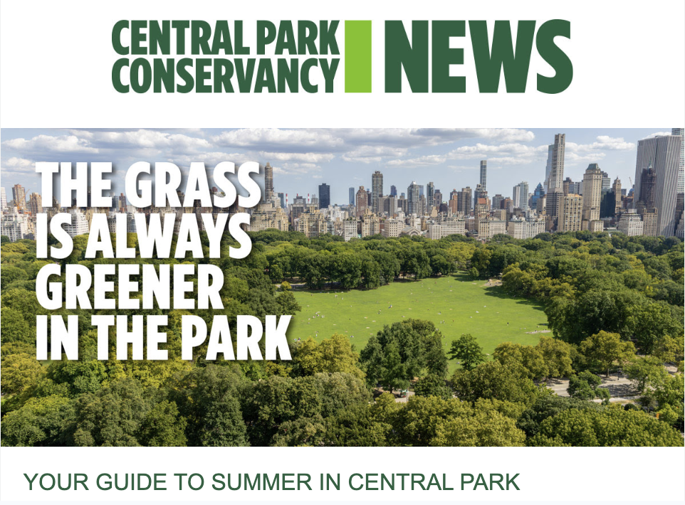 Summer in Central Park 